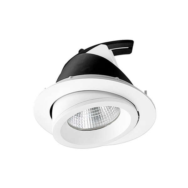 Duke-100 Duke Down Light - Image 2