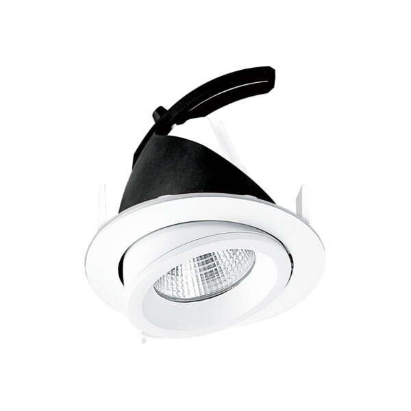 Duke-150 Duke Down Light - Image 3