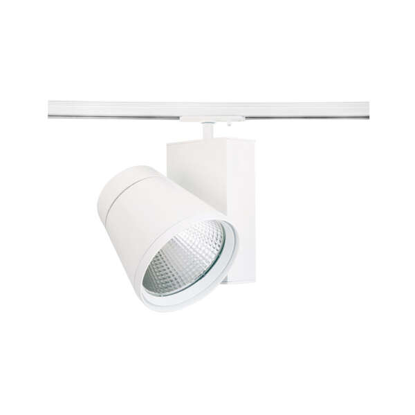 Siena Spotlight - Image 1