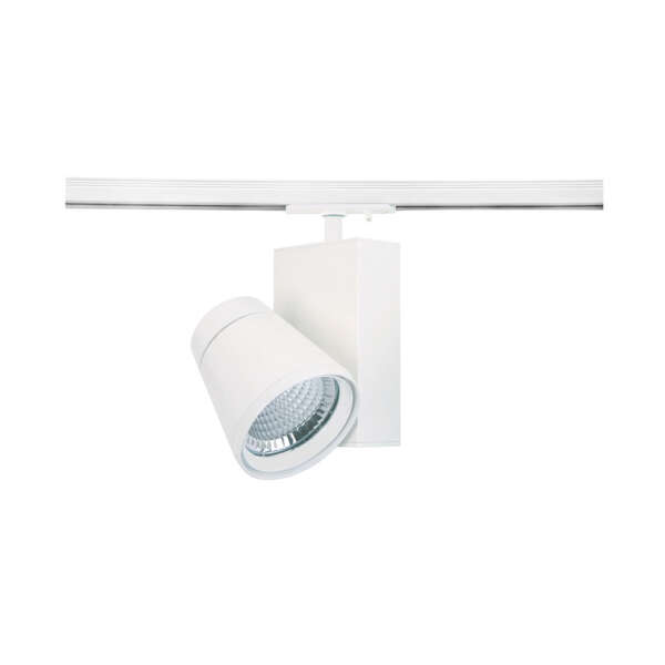 Siena Spotlight - Image 2