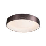 Caden Ceiling Lamp - Image 3