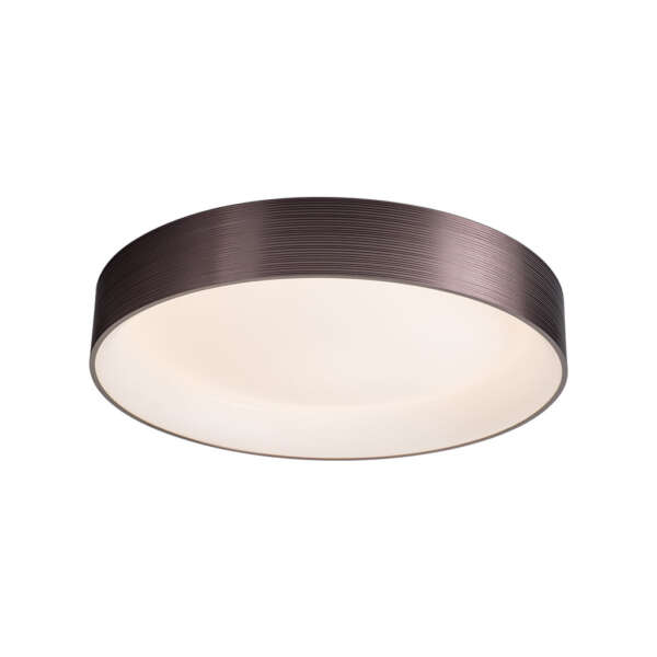 Caden Ceiling Lamp - Image 3